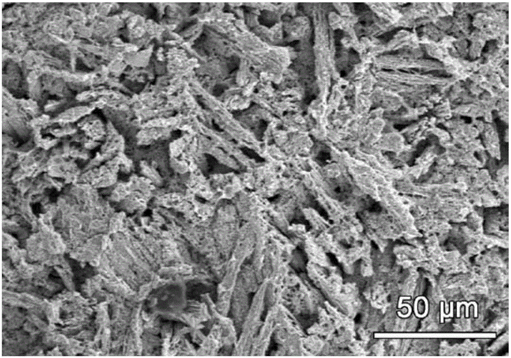 Brass alloy with macro-hole, micron-hole and nano-hole hierarchical hole structure and application thereof