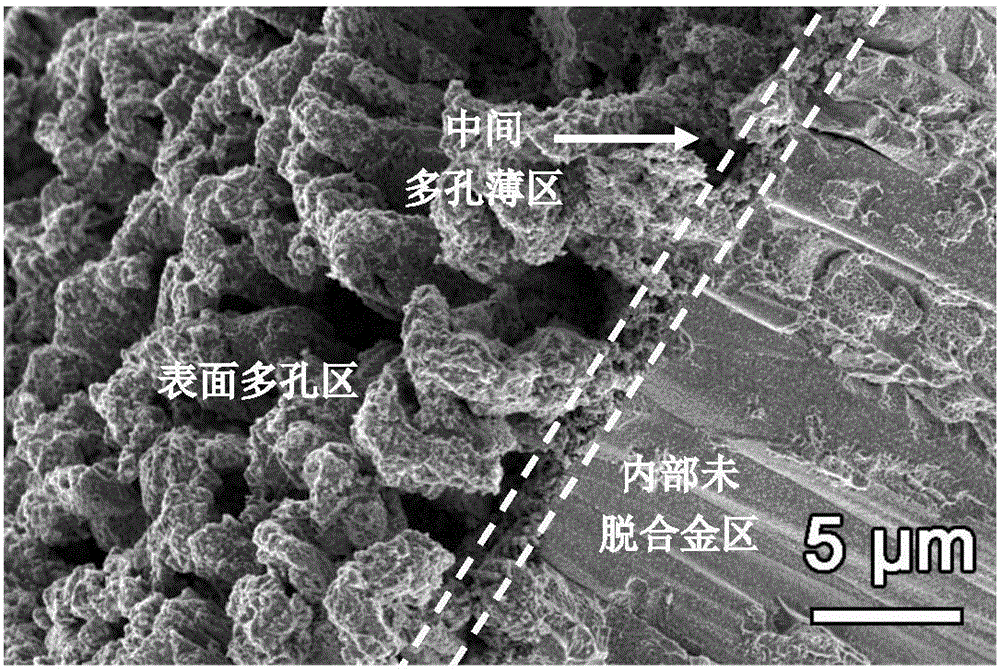 Brass alloy with macro-hole, micron-hole and nano-hole hierarchical hole structure and application thereof