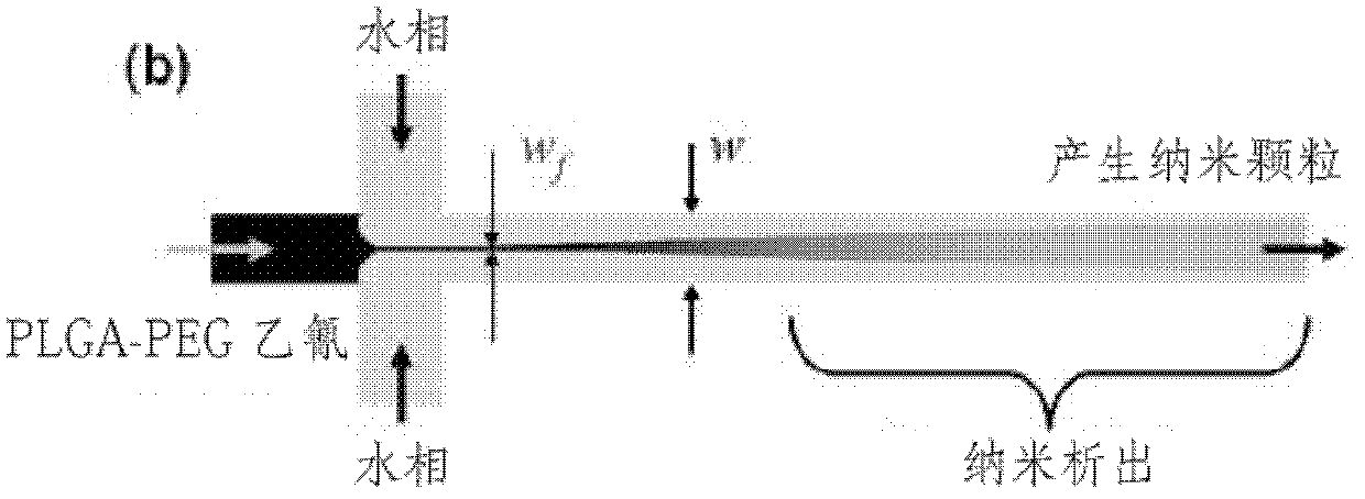 Highly-parallel micro flow channel chip applied to preparation of nanoparticles