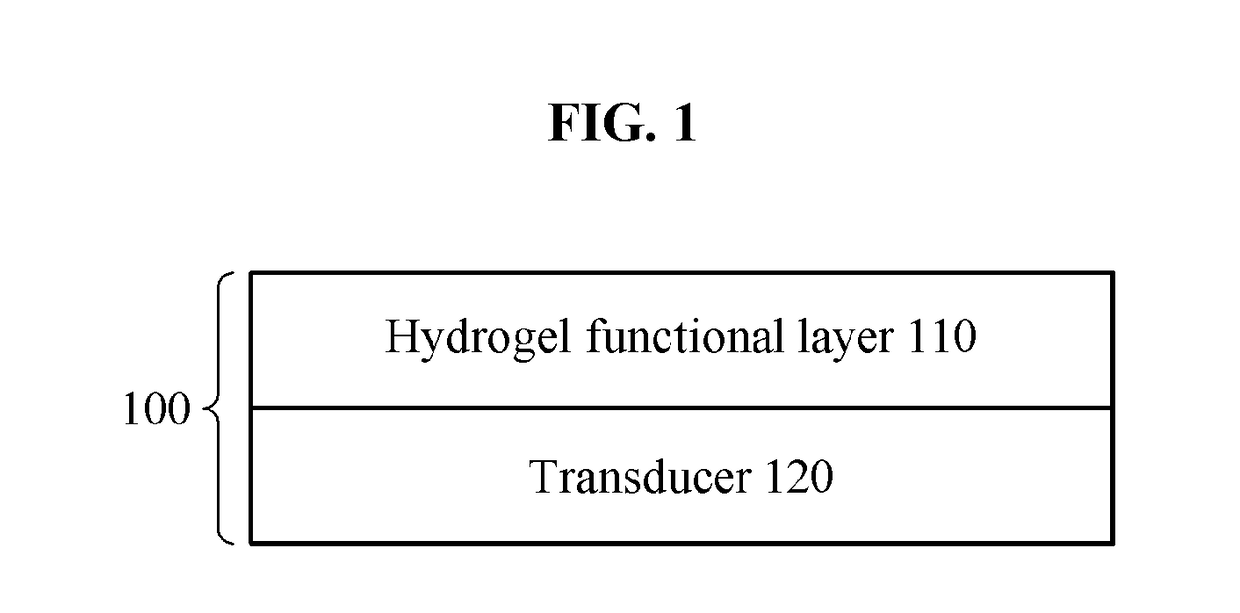 Biochip and method for manufacturing biochip