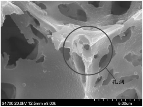 A kind of preparation method of open-cell organic foam material