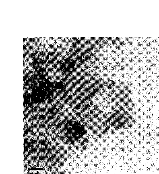 Method for preparing interface optical catalyst