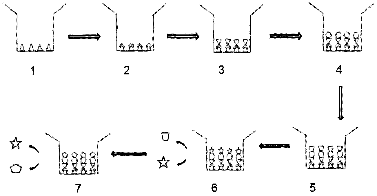 High throughput screening method for anti-influenza virus inhibitor with PAC-PB1N complex as target