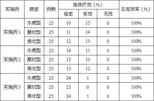 A kind of traditional Chinese medicine preparation for treating beriberi