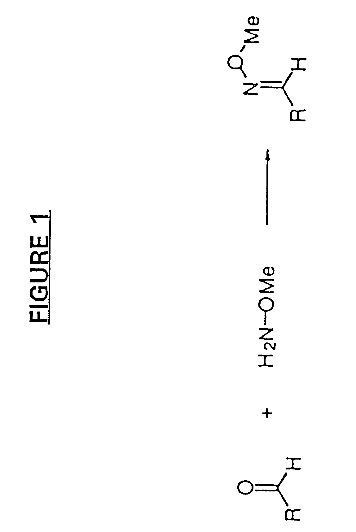 Pharmacophore recombination for the identification of small molecule drug lead compounds