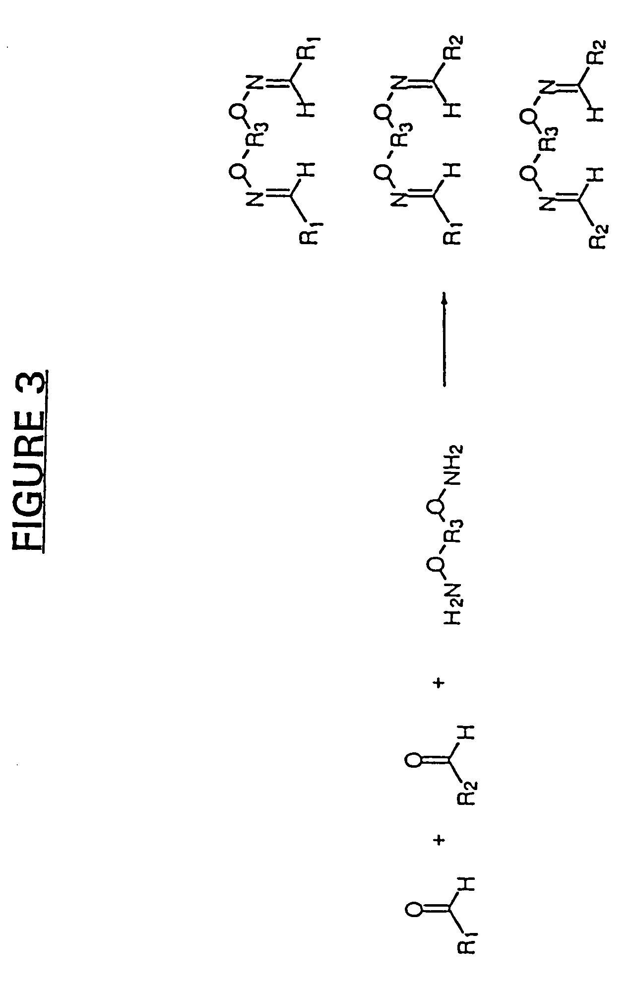 Pharmacophore recombination for the identification of small molecule drug lead compounds