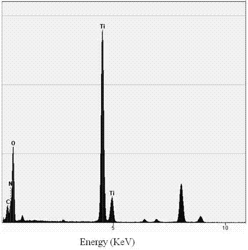 A large specific surface area-visible light-responsive tio  <sub>2</sub> Catalyst and its preparation method