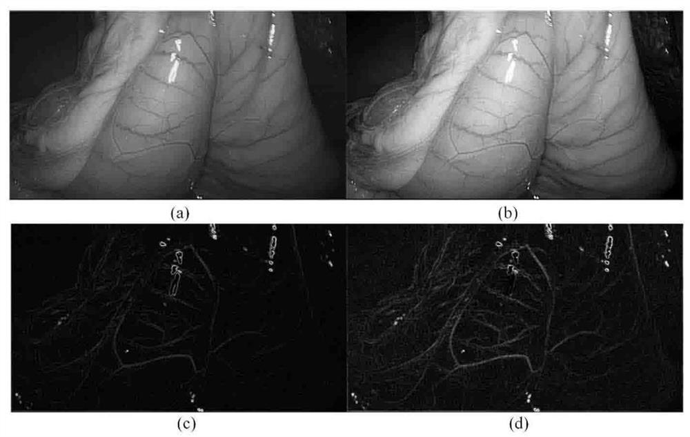 A multi-scale relative gradient histogram equalization method and device