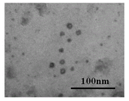 Organic-inorganic double-shell microcapsule for temperature-controlled release of hydrophobic micromolecules and preparation method thereof