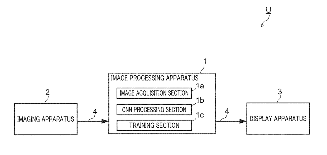 Image processing apparatus, image processing method, and computer-readable non-transitory recording medium storing image processing program