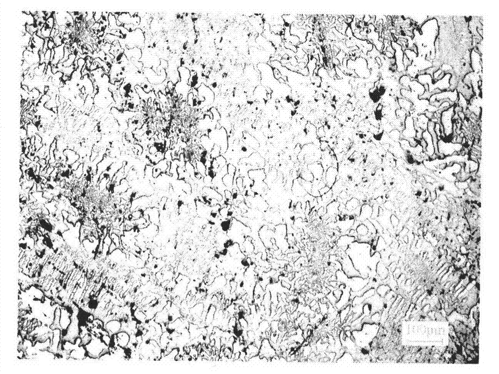 Composite inoculant used for grey cast iron and preparation method and application method of composite inoculant