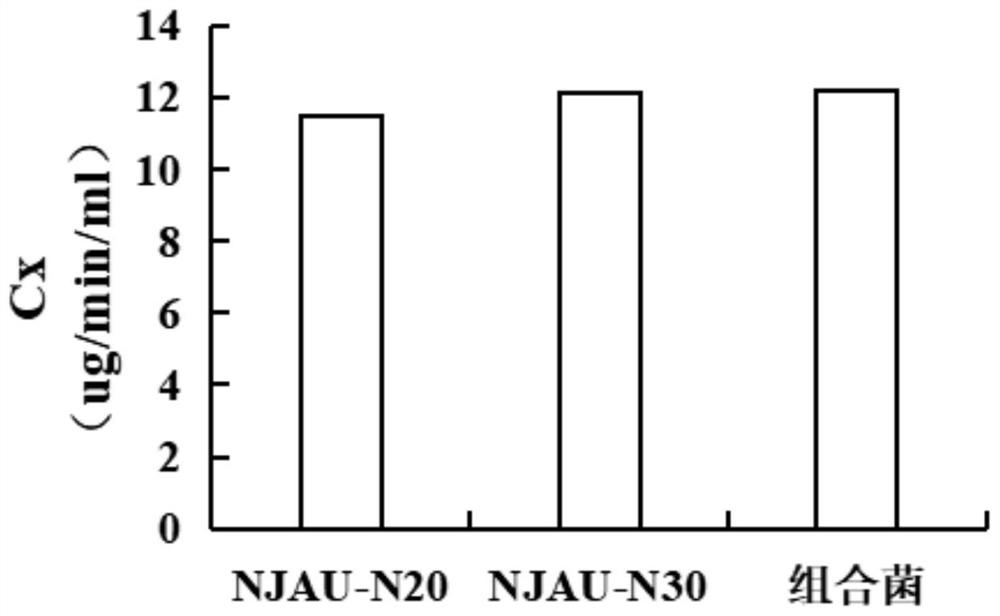 High-temperature-resistant complex microbial inoculant capable of efficiently degrading wood fibers and application of high-temperature-resistant complex microbial inoculant