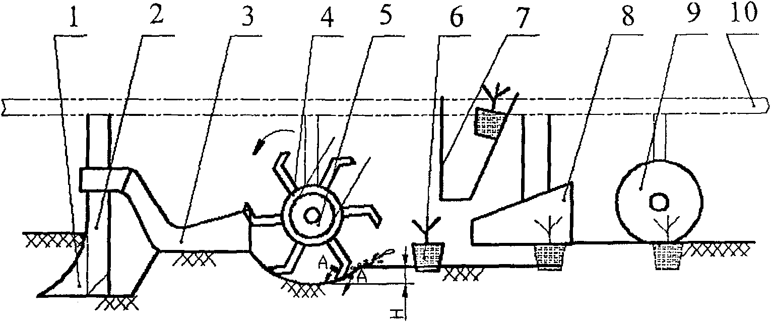 Block seedling fertilization and transplantation device