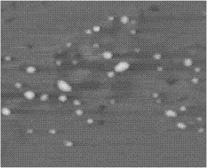 Magnetic enzyme nanogel biocatalytic particle and preparation method thereof