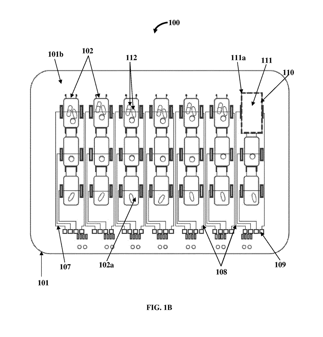 Medication organizer tray apparatus