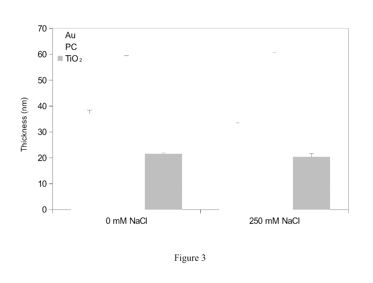 DOPA-melanin formation in high ionic strength solutions