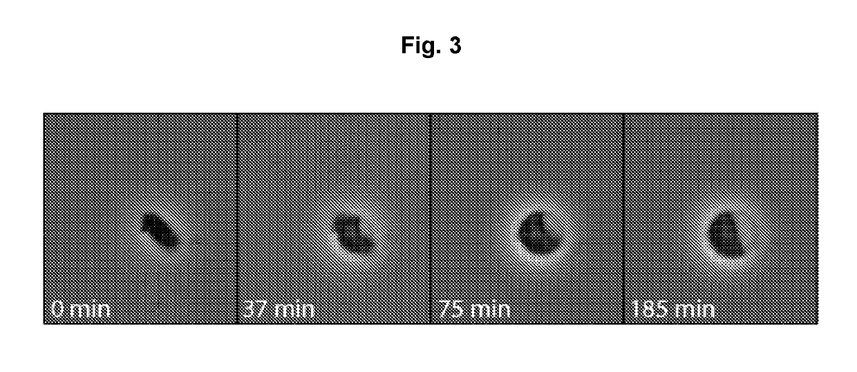 EXPRESSION OF PROTEINS IN GRAM-NEGATIVE BACTERIA WHEREIN THE RATIO OF PERlPLASMIC VOLUME TO CYTOPLASMIC VOLUME IS BETWEEN 0.5:1 AND 10:1