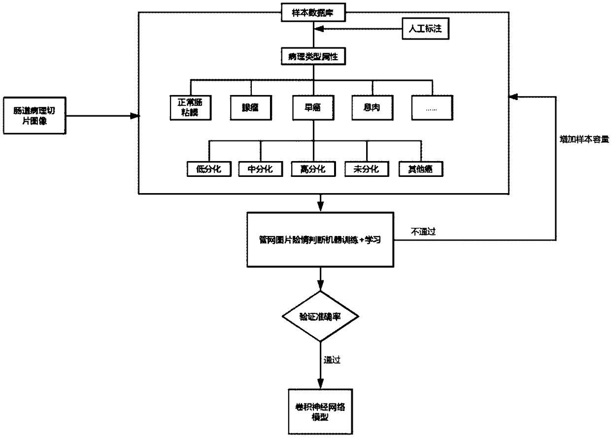 Image recognition and analysis system and method of intestinal pathological section based on depth learning