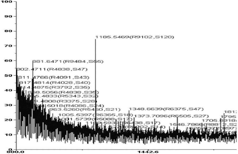 Polypeptide with immunomodulatory effects