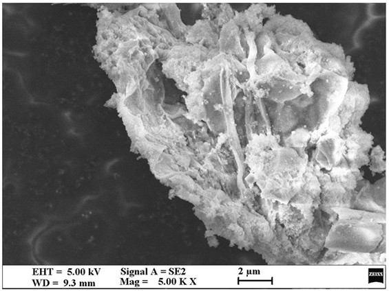 Nitrogen-boron co-doped graphene composite denitration sulfur-resistant catalyst and preparation method thereof