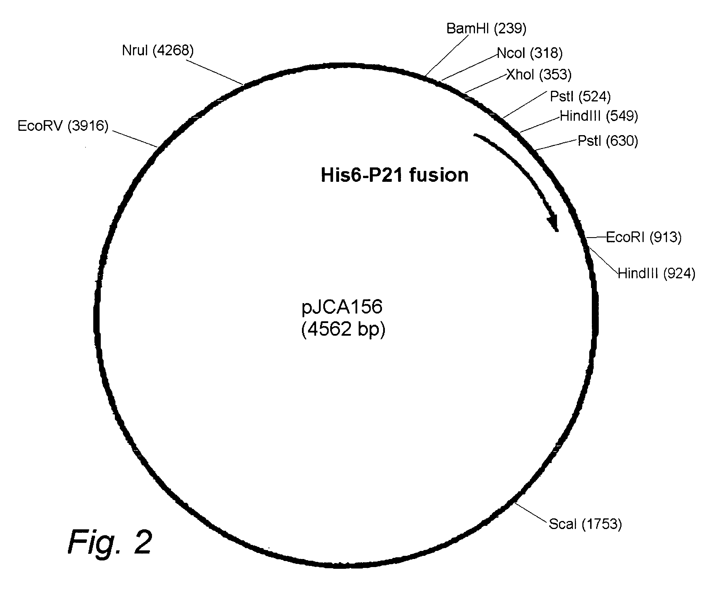 Compositions and vaccines containing antigen(s) of Cryptosporidium parvum and of another pathogen