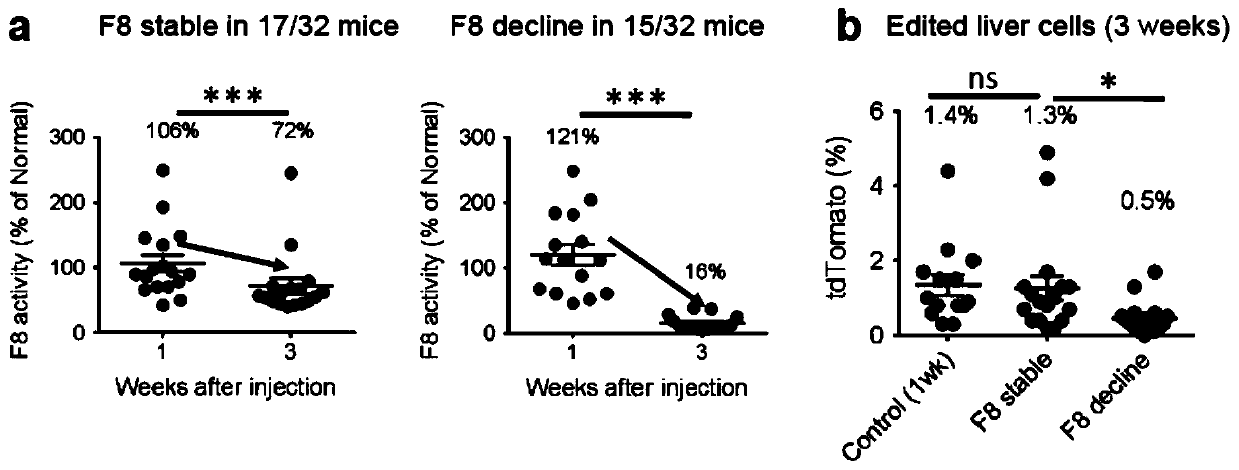 Double-cut donor for hemophilia A and medicine combination thereof