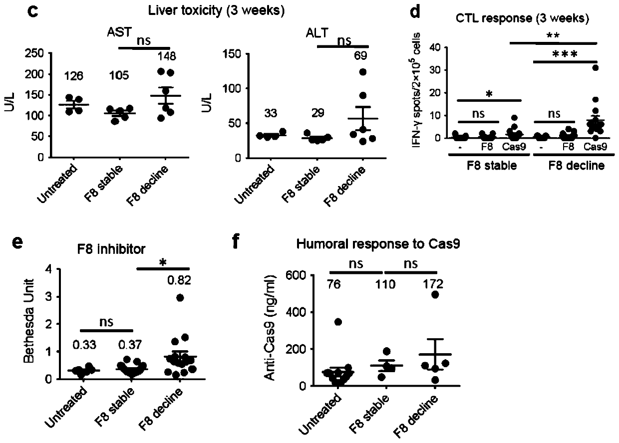 Double-cut donor for hemophilia A and medicine combination thereof