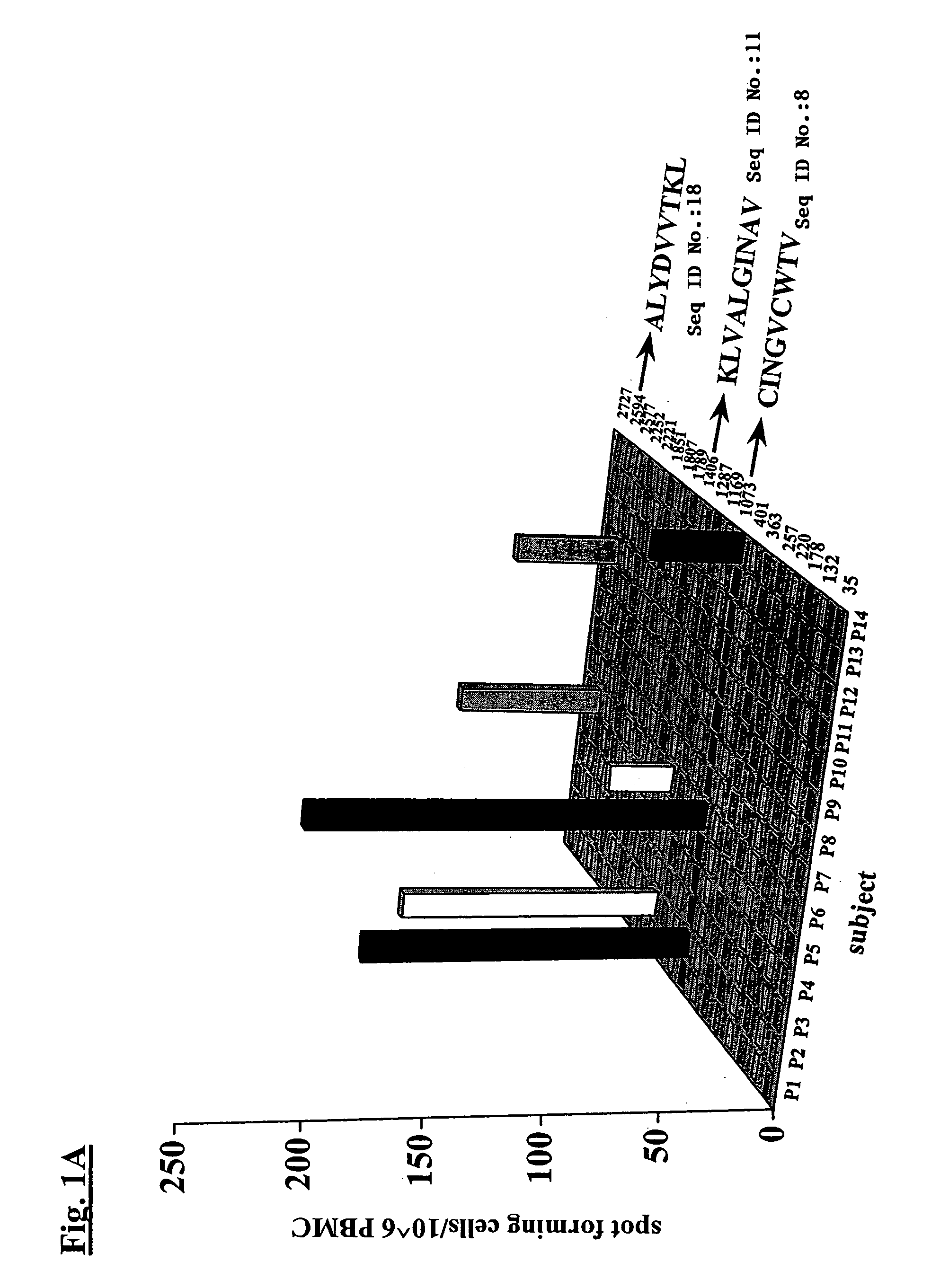 Epitopes of hepatitis C virus