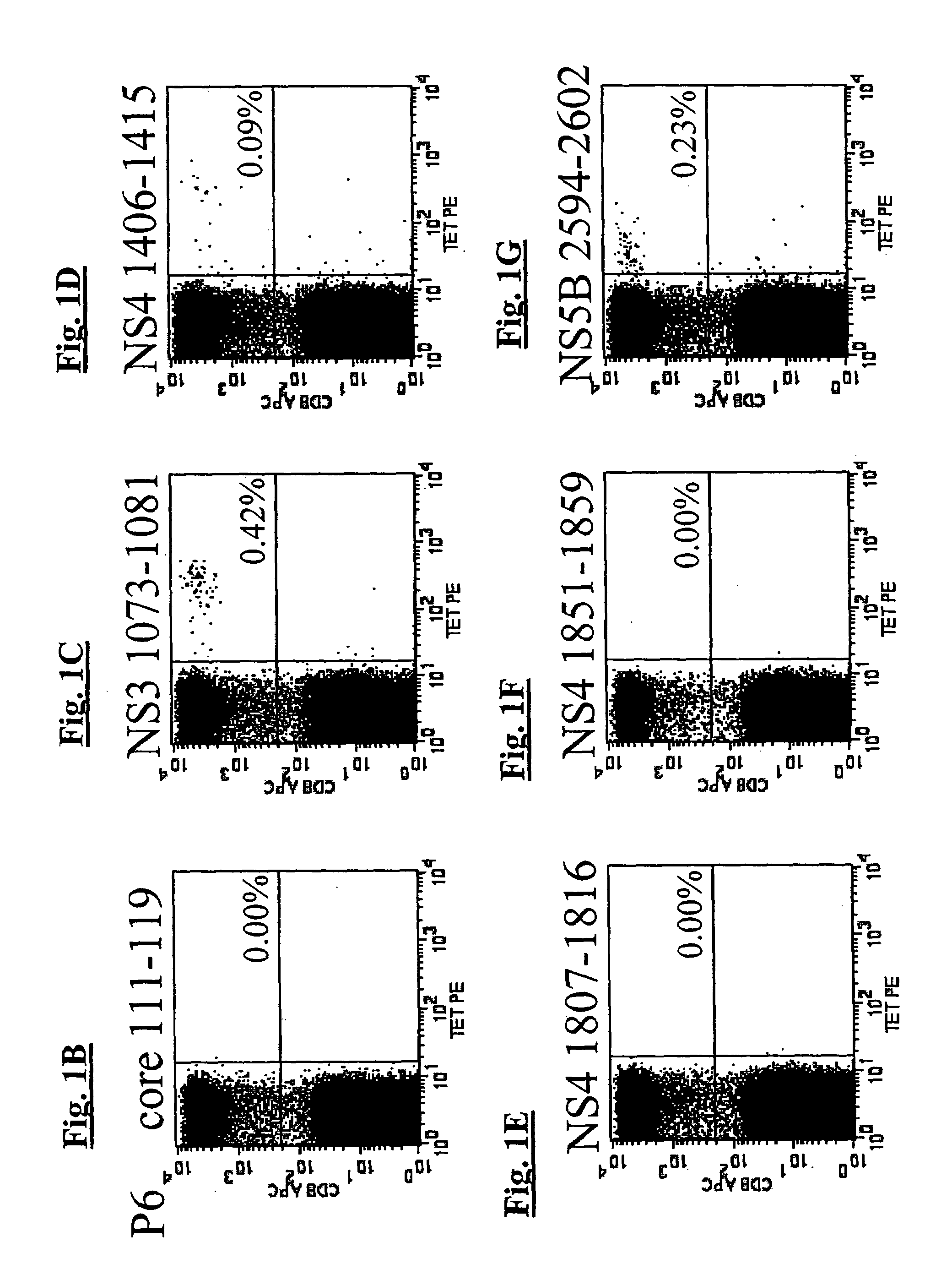 Epitopes of hepatitis C virus