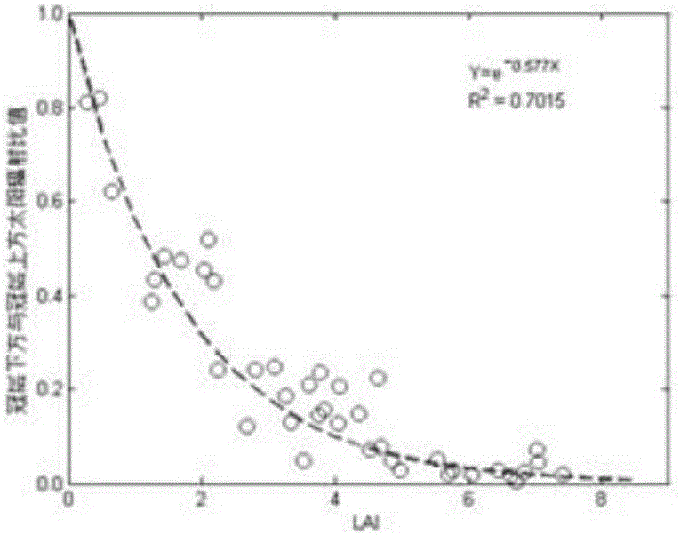 Under-forest illumination intensity estimation method based on remote sensing