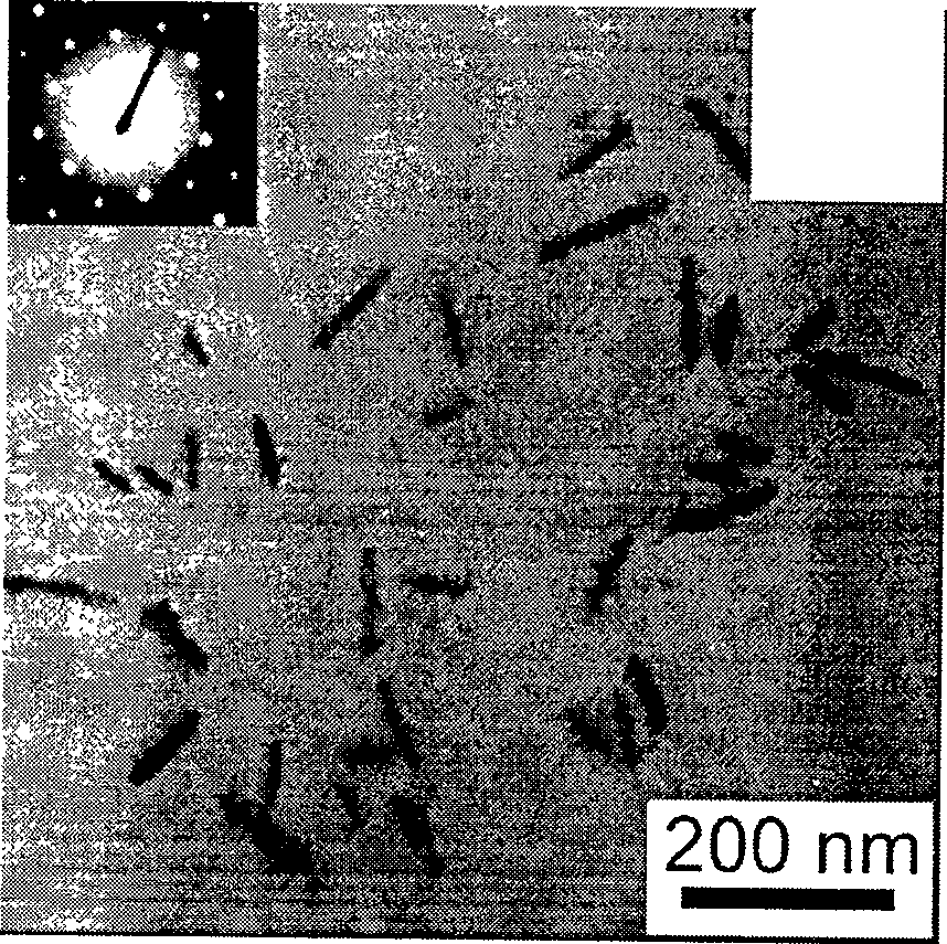 Method for synthesizing water-soluble Nano CdllgTe stick, and usage of Nano stick