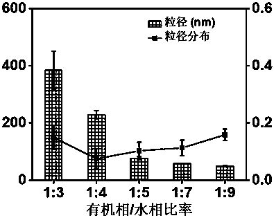 Preparation method of lipid wrapped solid drug nano particle