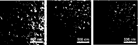 Preparation method of lipid wrapped solid drug nano particle