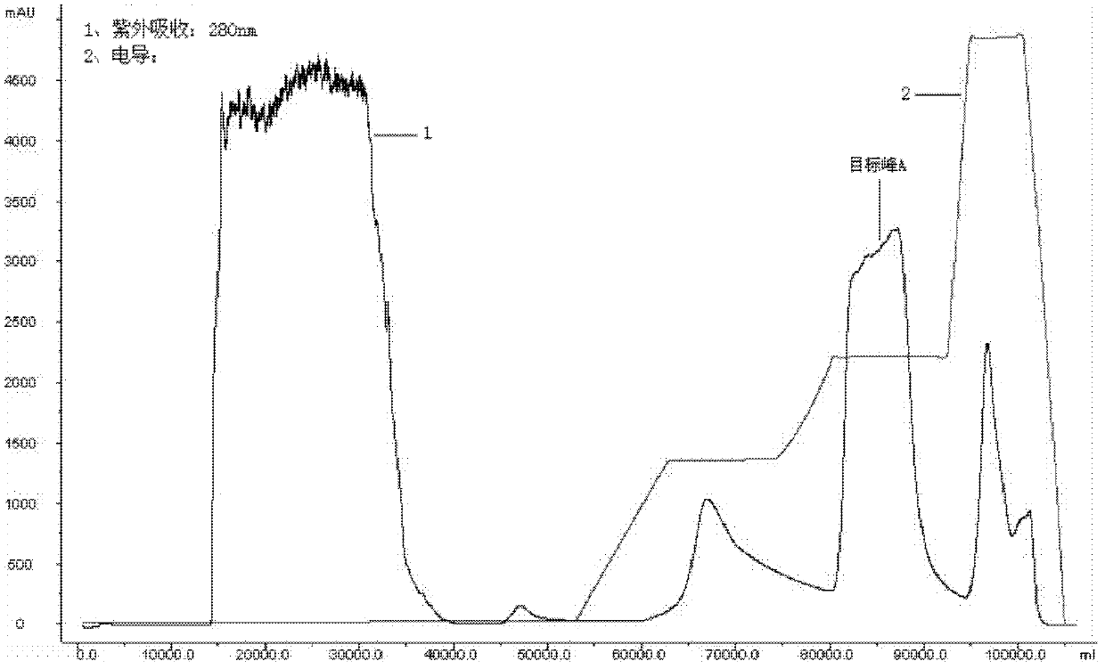 Production method for Pichia pastoris expression recombinant human interleukin 11