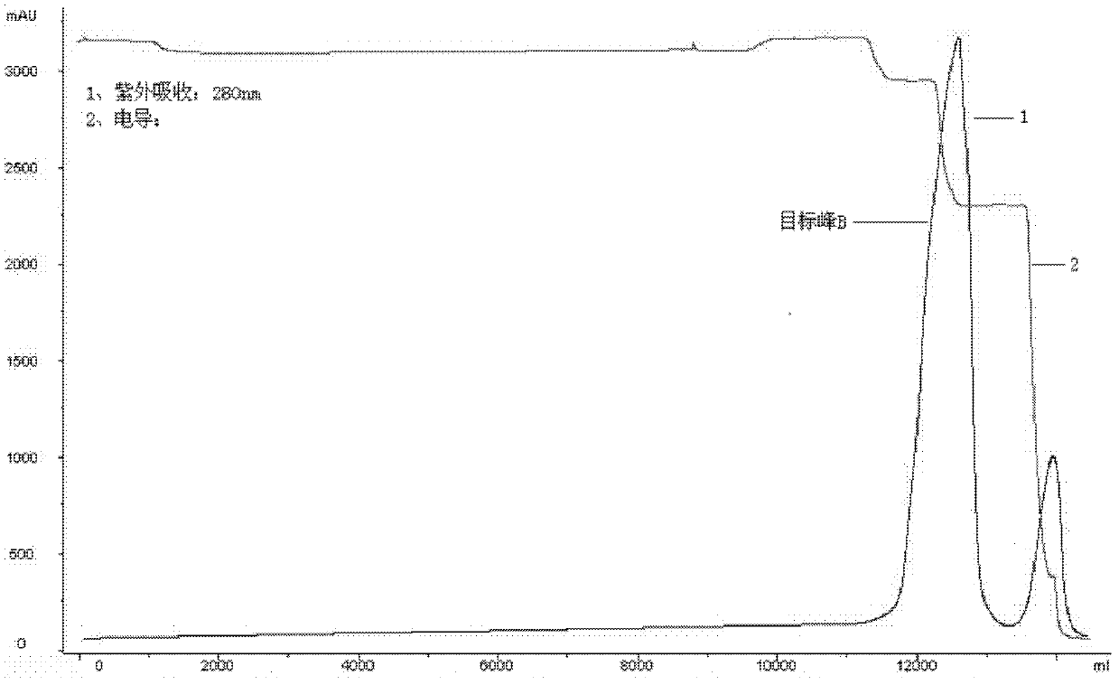 Production method for Pichia pastoris expression recombinant human interleukin 11