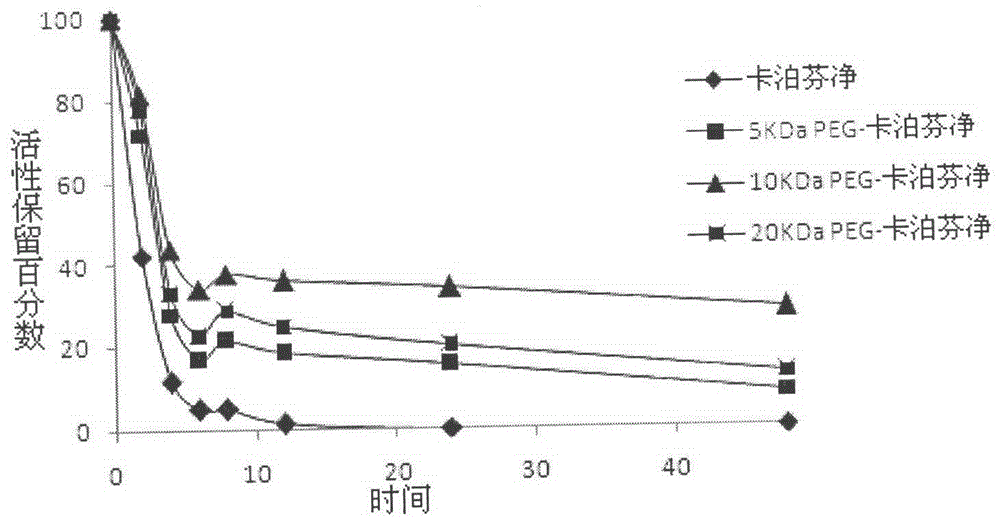 PEG-modified echinocandin antifungal drug complex and preparation thereof