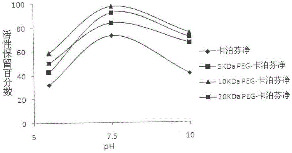 PEG-modified echinocandin antifungal drug complex and preparation thereof