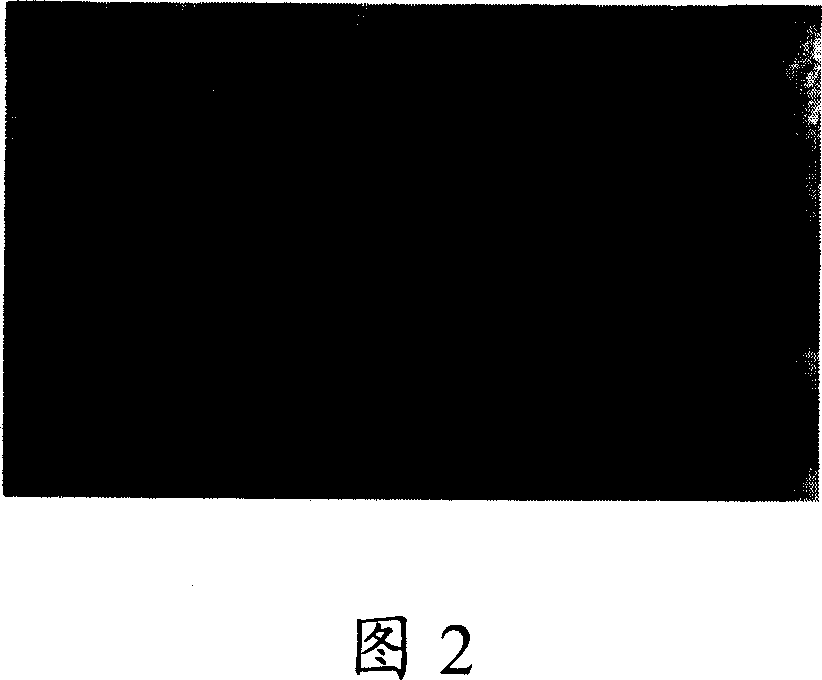 Method and device for compressing image