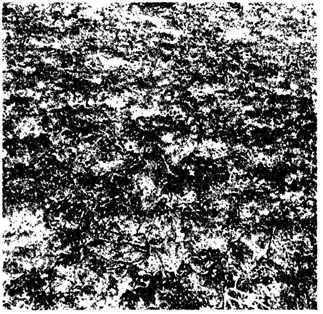 Pattern for building artificial algal crust in desert