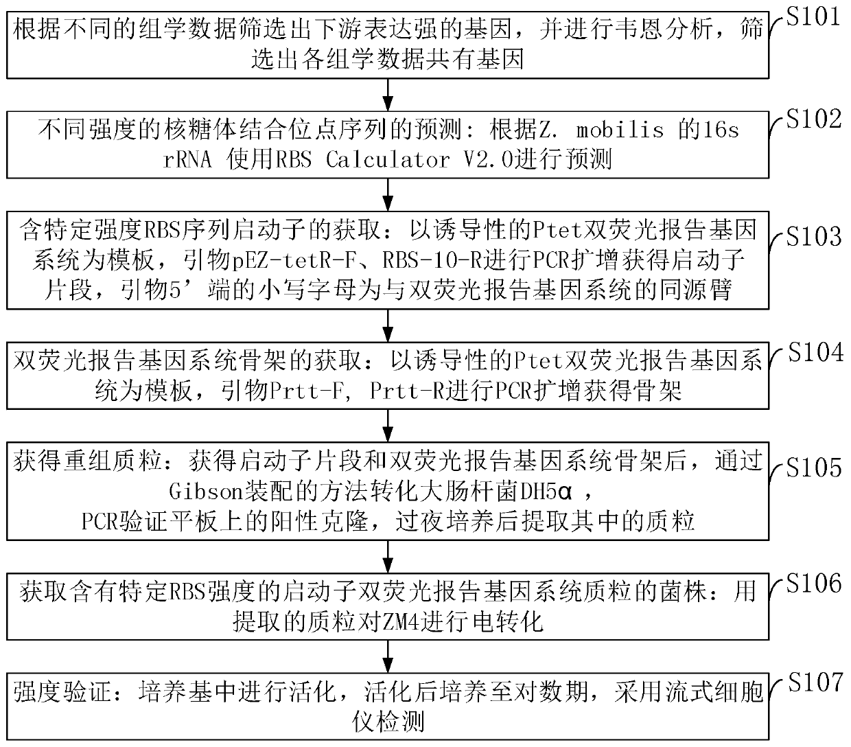 Method and element for screening different-intensity ribosome binding sites and promoters