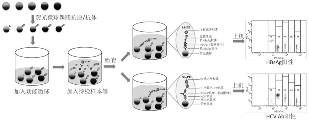 Kit and method for joint detection based on microspheres with different fluorescence intensities