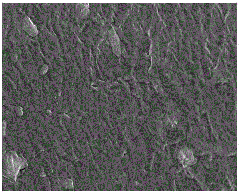 Polymer electrolyte membrane based on sodium glycinate and preparation method and application of membrane