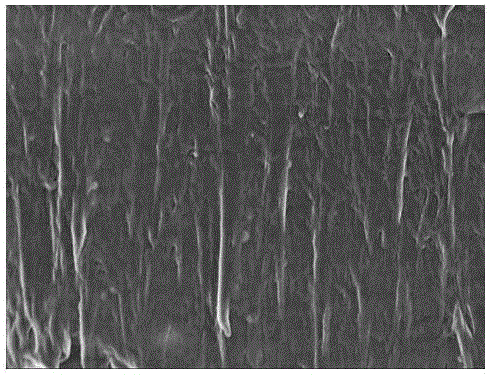 Polymer electrolyte membrane based on sodium glycinate and preparation method and application of membrane