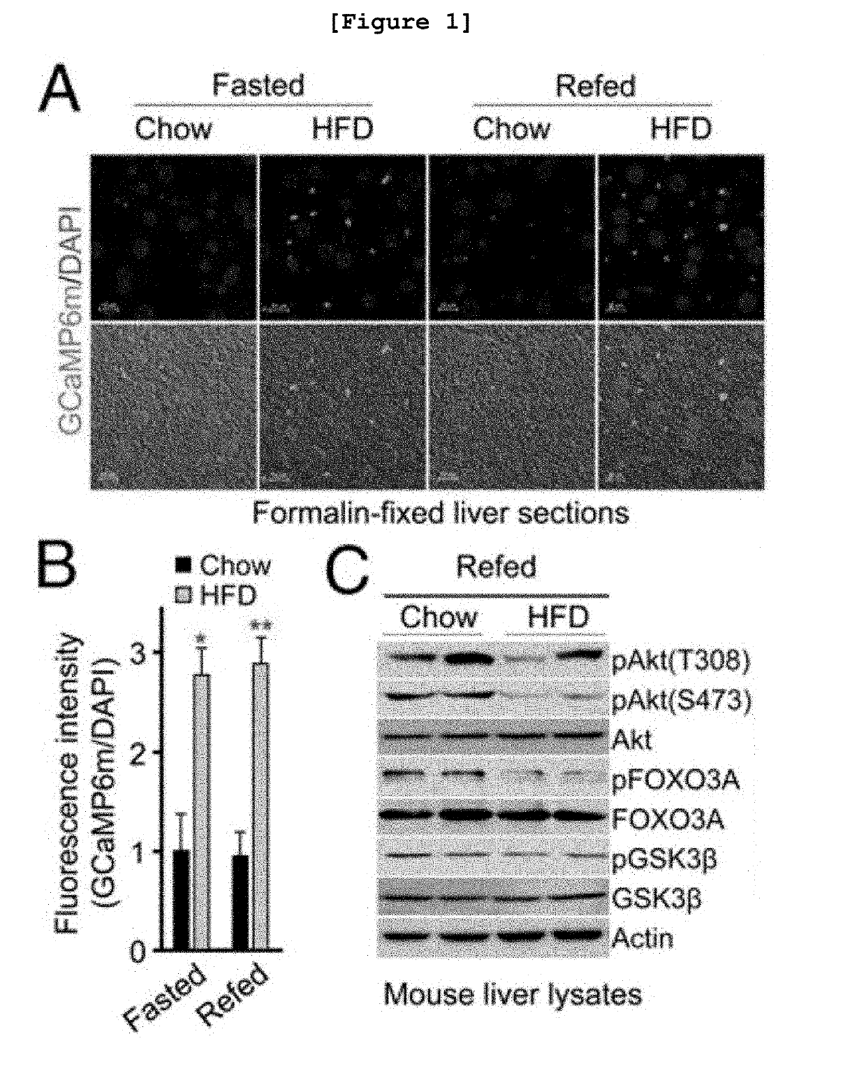 Fusion protein of c2 domain and akt kinase domain fragment and use thereof