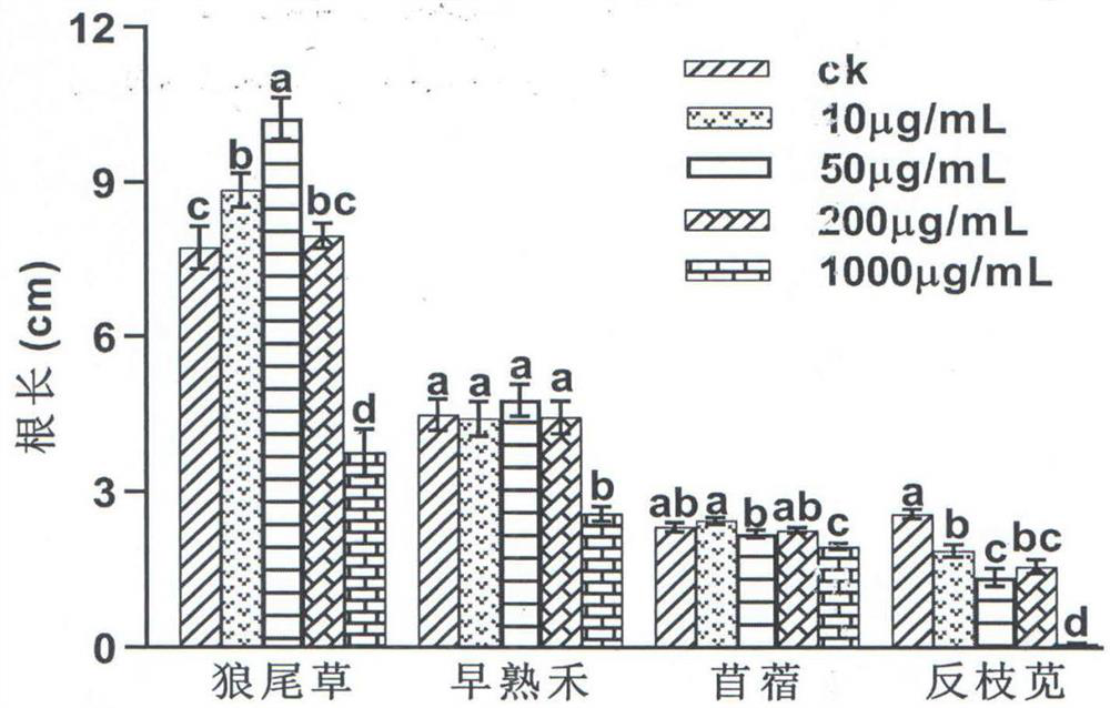 Method for extracting compound axillarin from xanthium italicum and application of compound axillarin