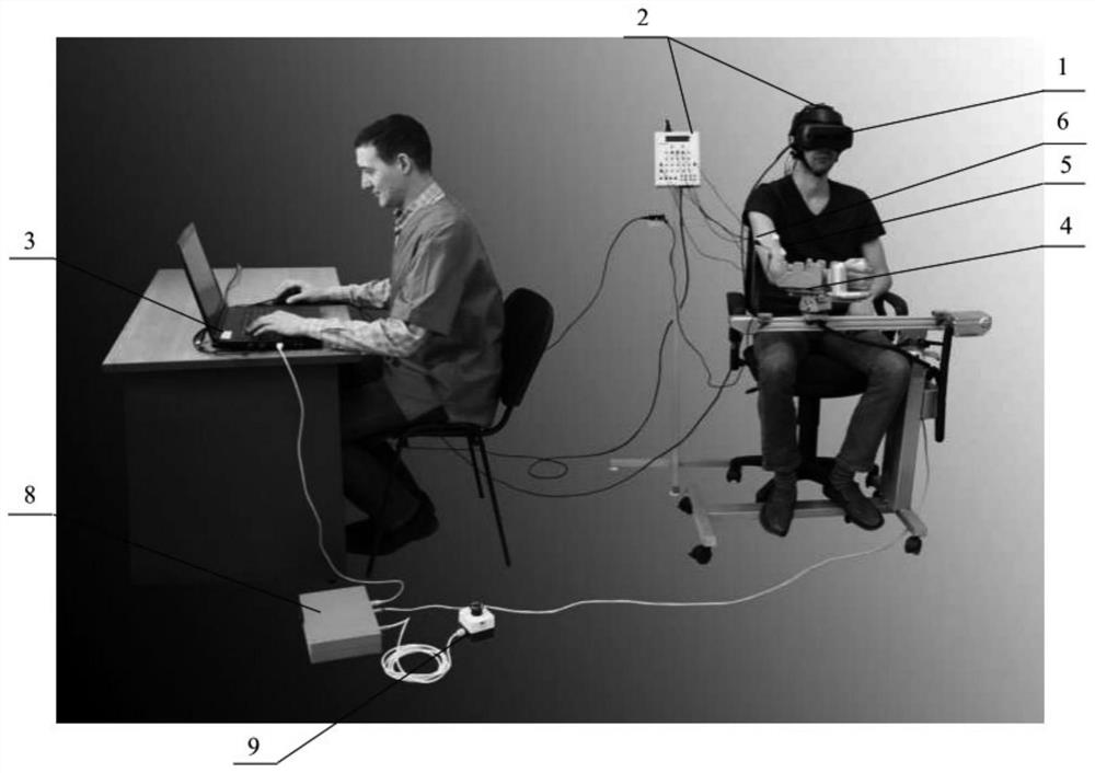 Neural rehabilitation system and neural rehabilitation method