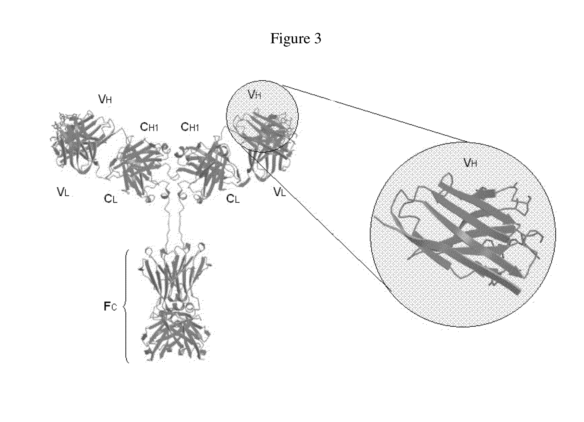 Anti-hiv domain antibodies and method of making and using same