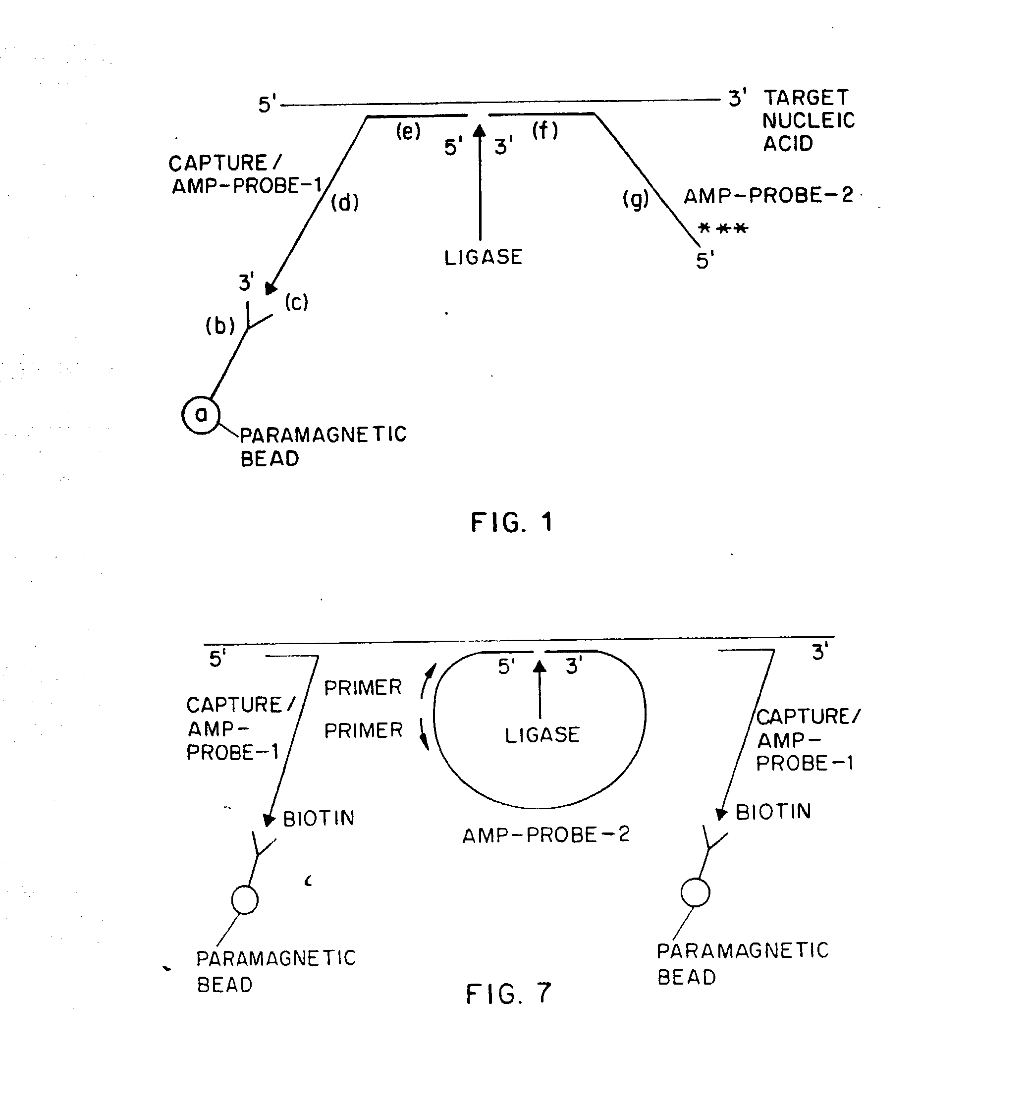 Nucleic acid amplification methods