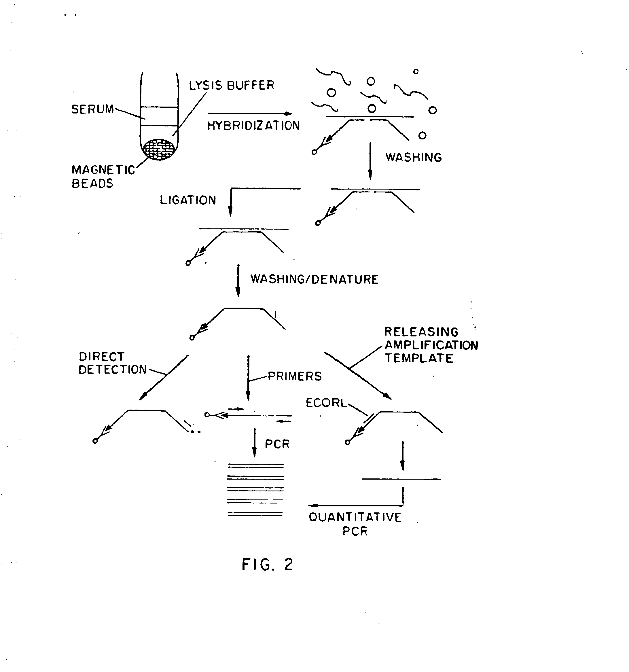 Nucleic acid amplification methods