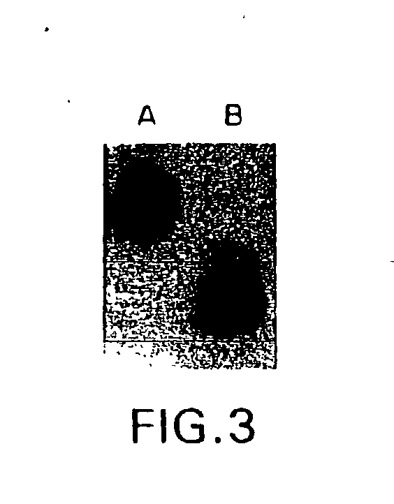 Nucleic acid amplification methods